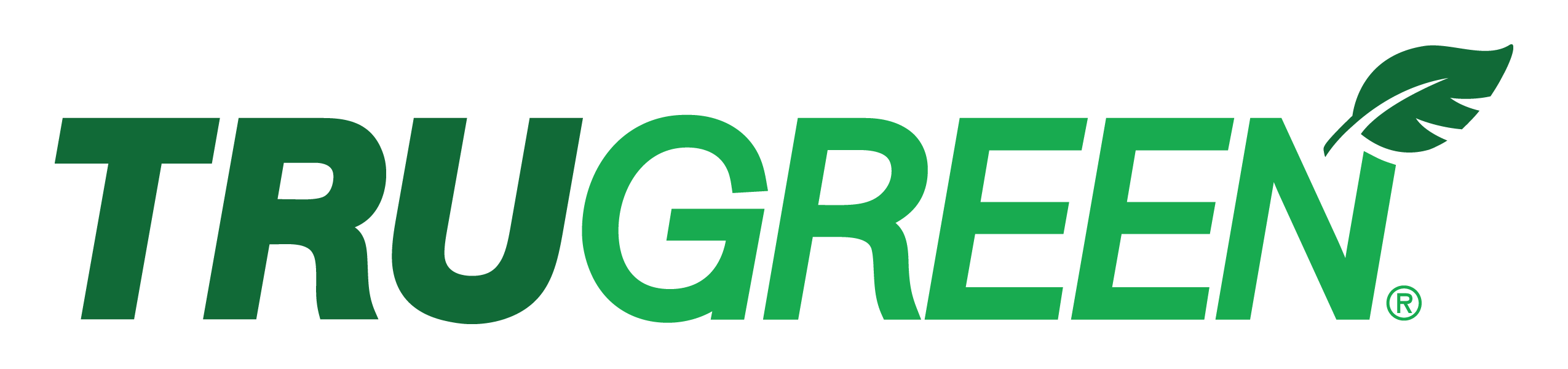 TruGreen — Lawn Care Services | OTC Fleet Services commercial fleet customer TruGreen logo — Lawn Care Services fleet customer of OTC Fleet Services